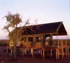 Gunya Titjikala, Alice Springs